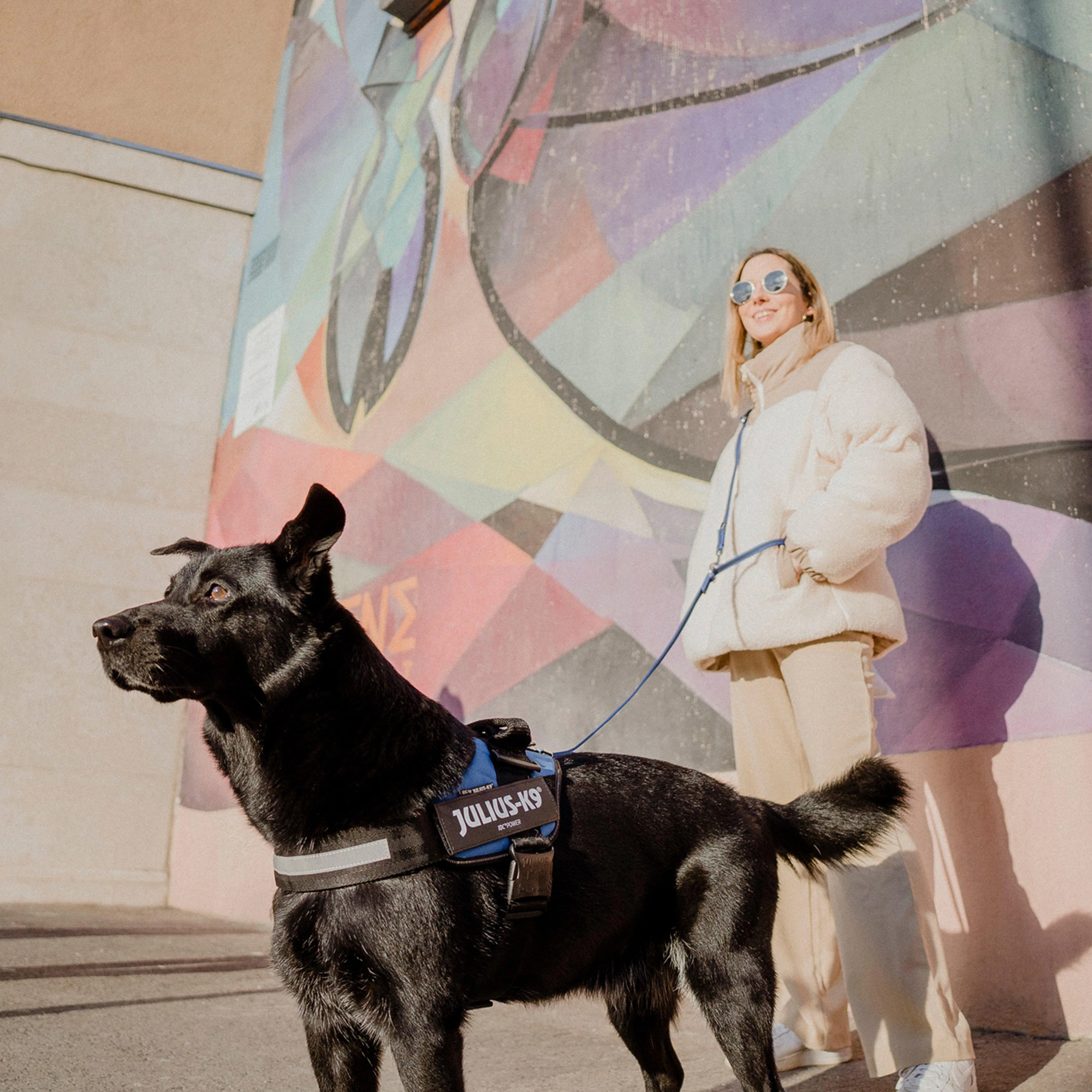 Original K9 Powerharness Size 2 - Image 2