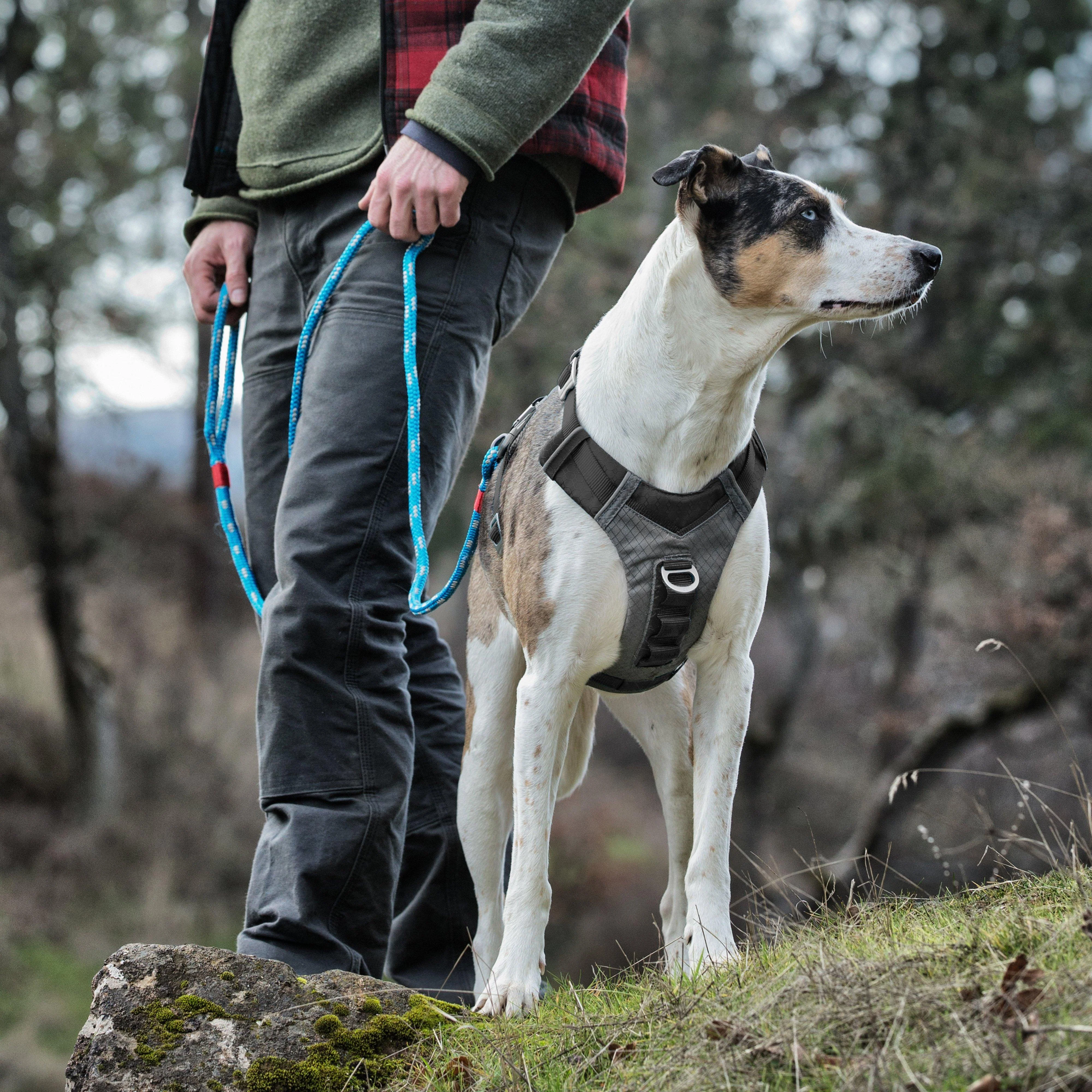 Journey Air Dog Harness - Image 4