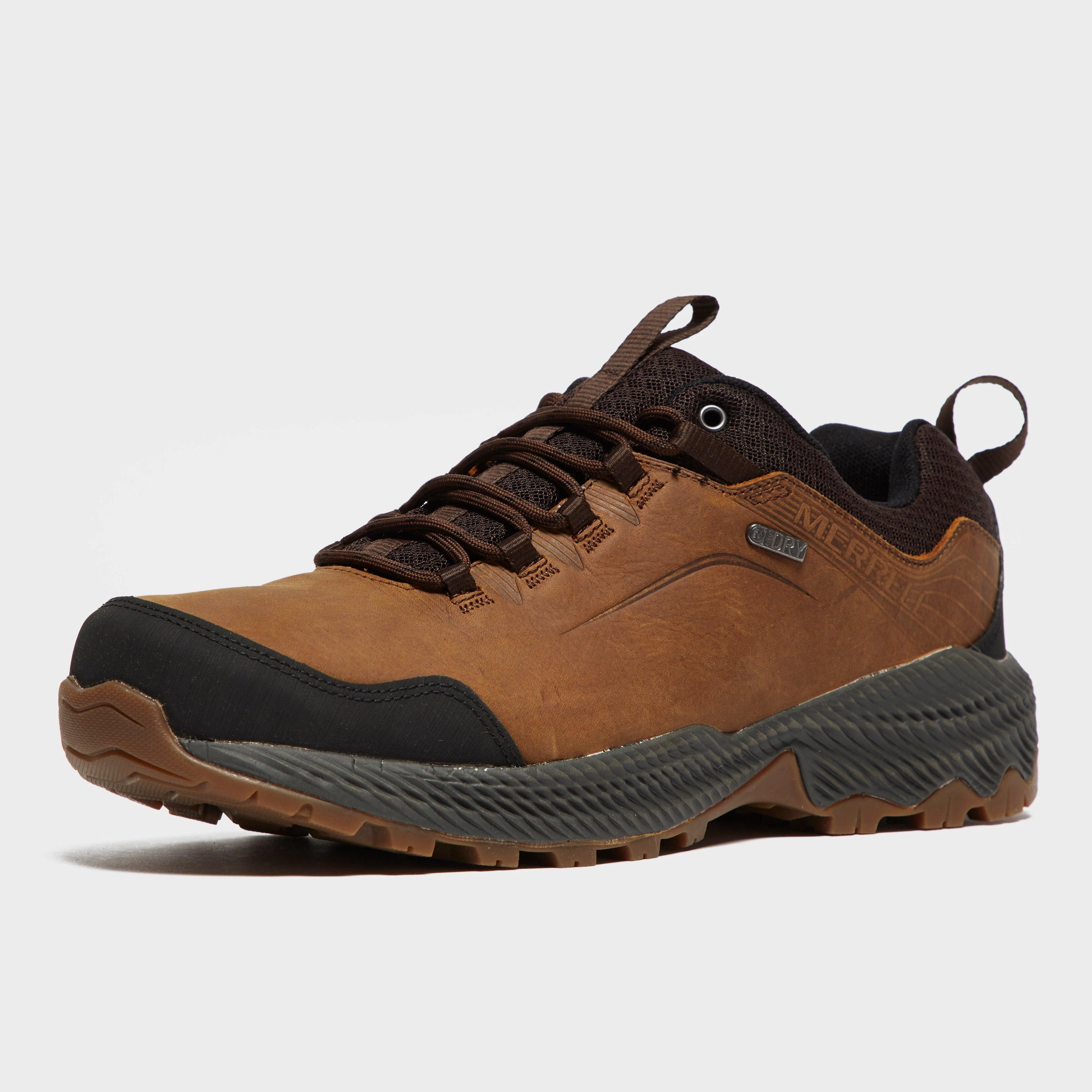 Men's Forestbound Walking Shoe - Image 3