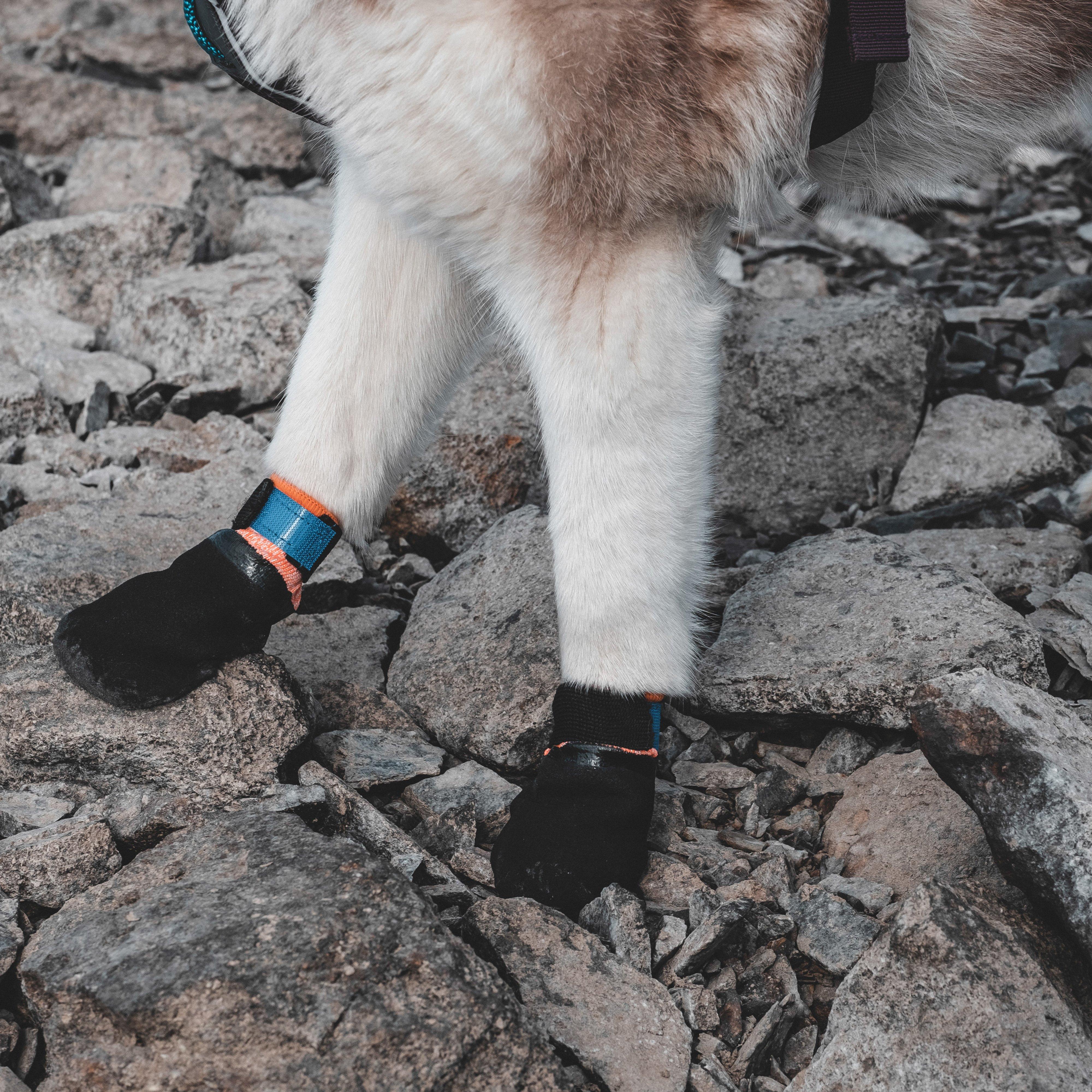 Non-Stop Protector Booties 4 Pack - Image 3
