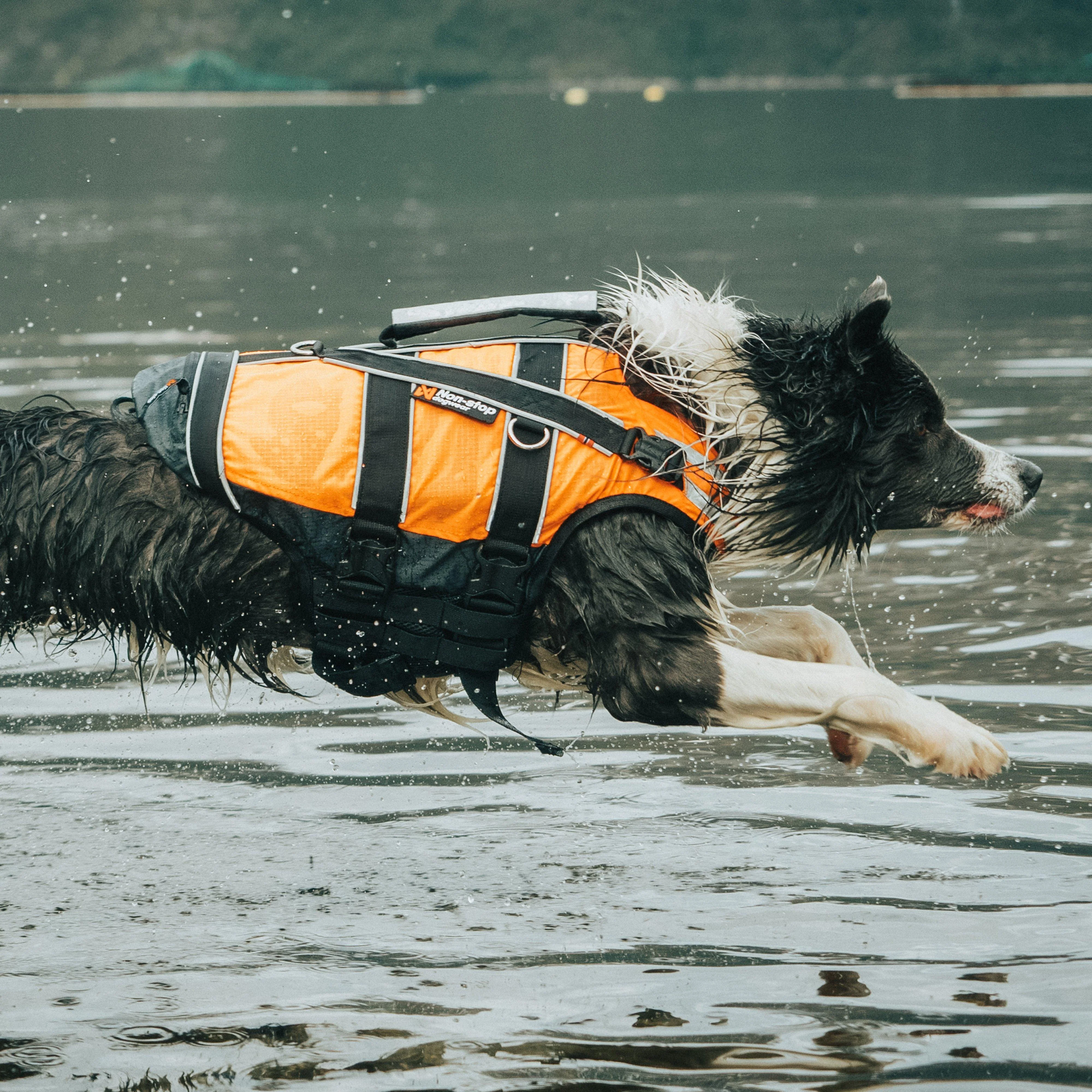 Safe Life Jacket 2.0 - Image 3