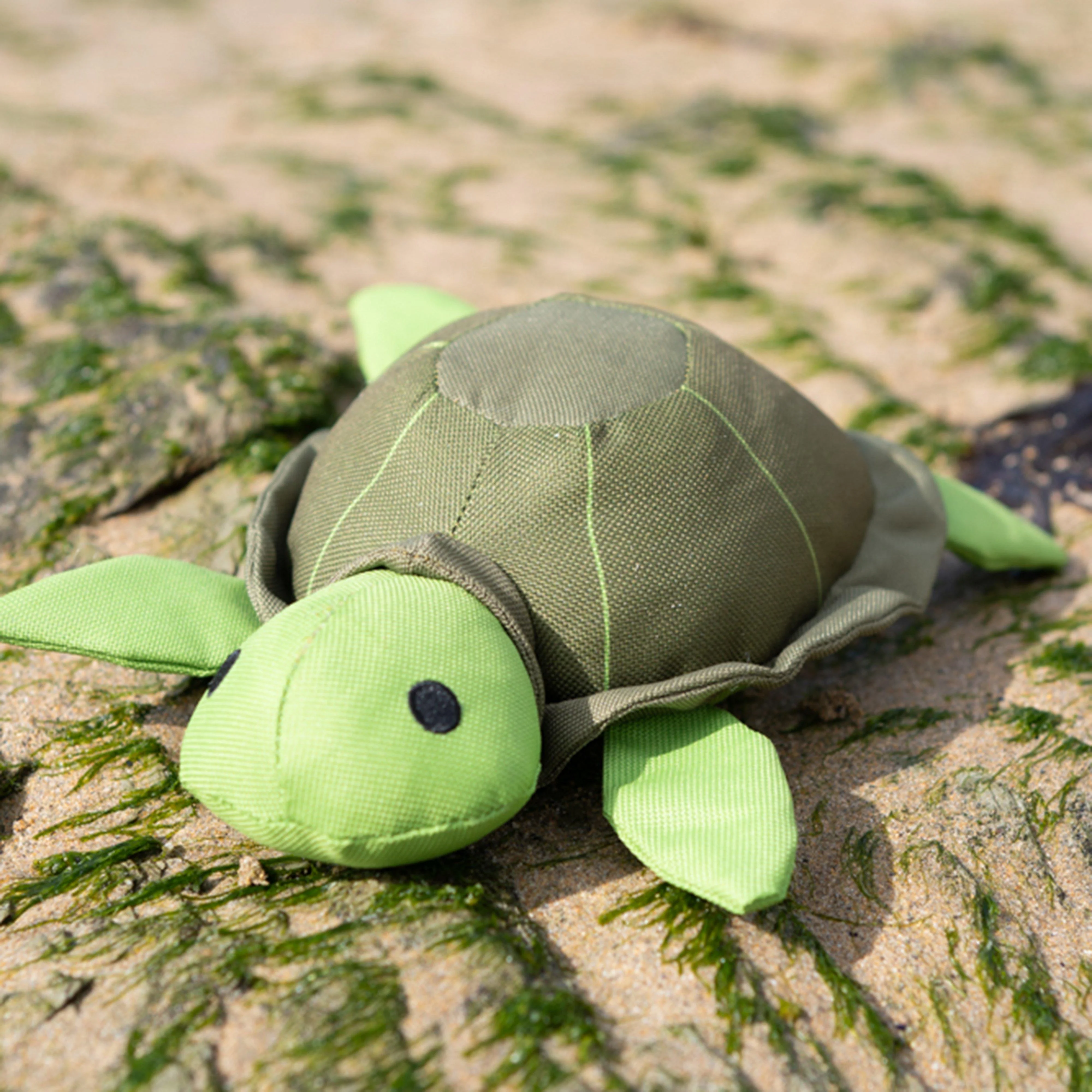 Planet Tessi Turtle Plush Dog Toy - Image 4