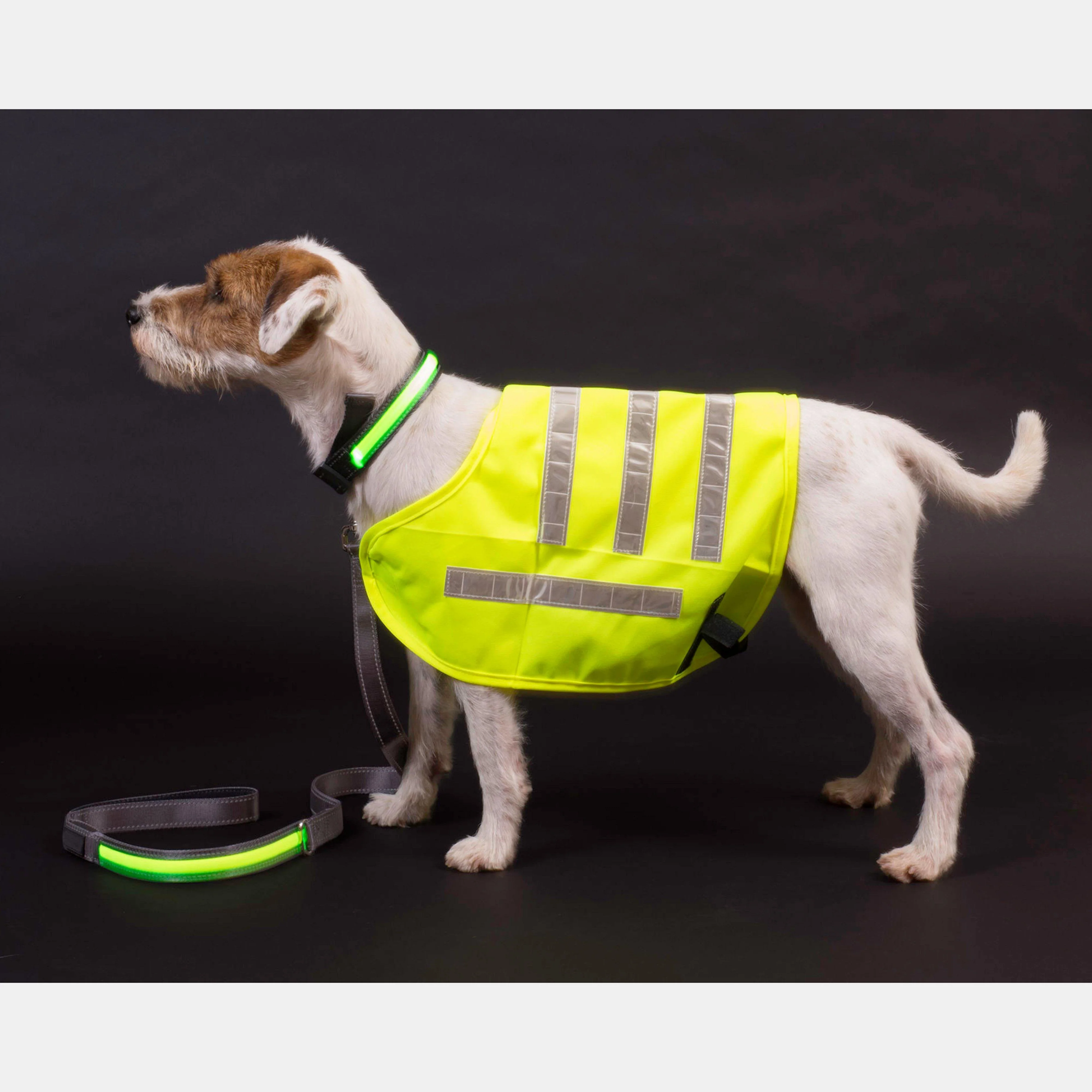 Reflective Flashing Dog Collar Small - Image 4