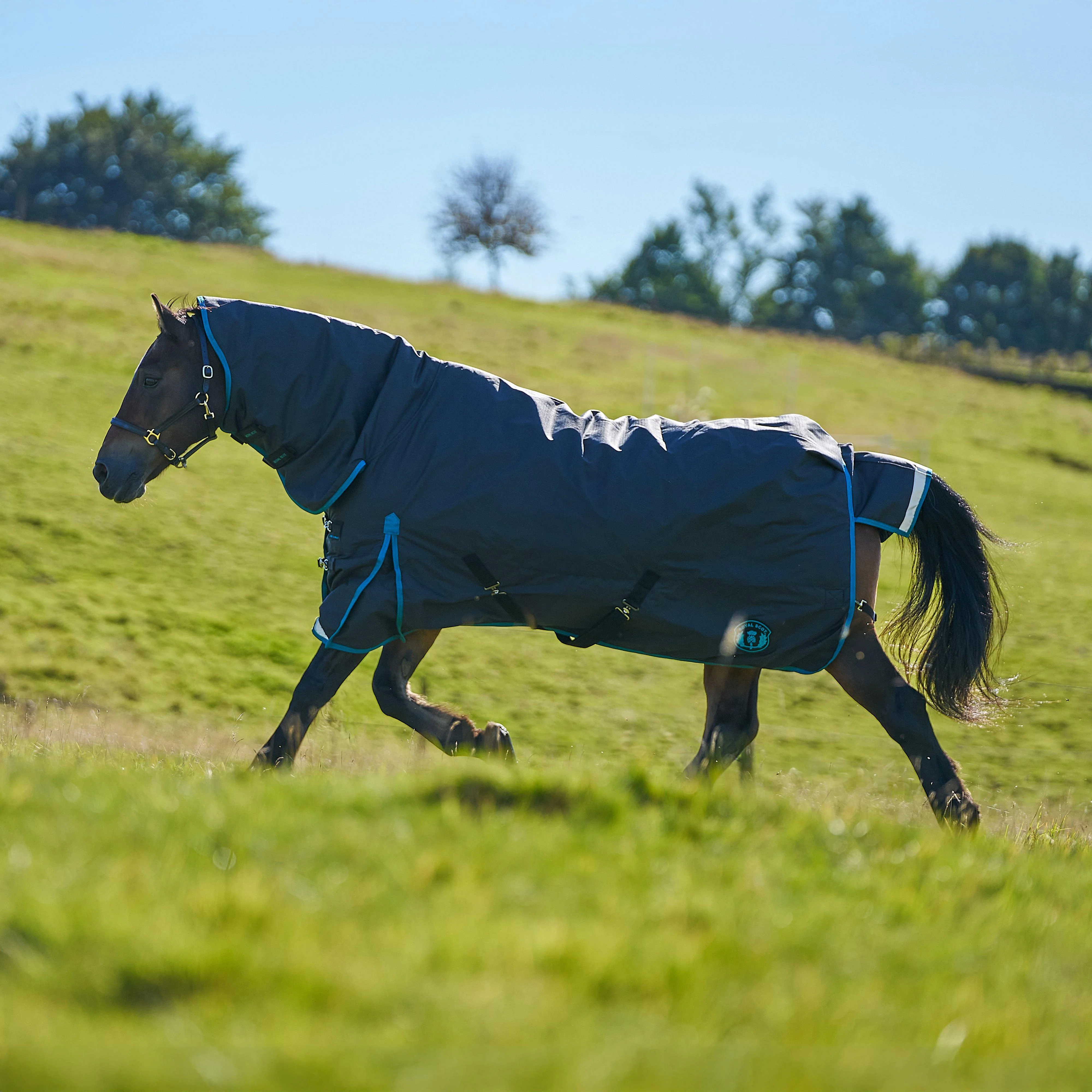 Original 200g Light-Medium Combo Neck Turnout Rug - Image 2