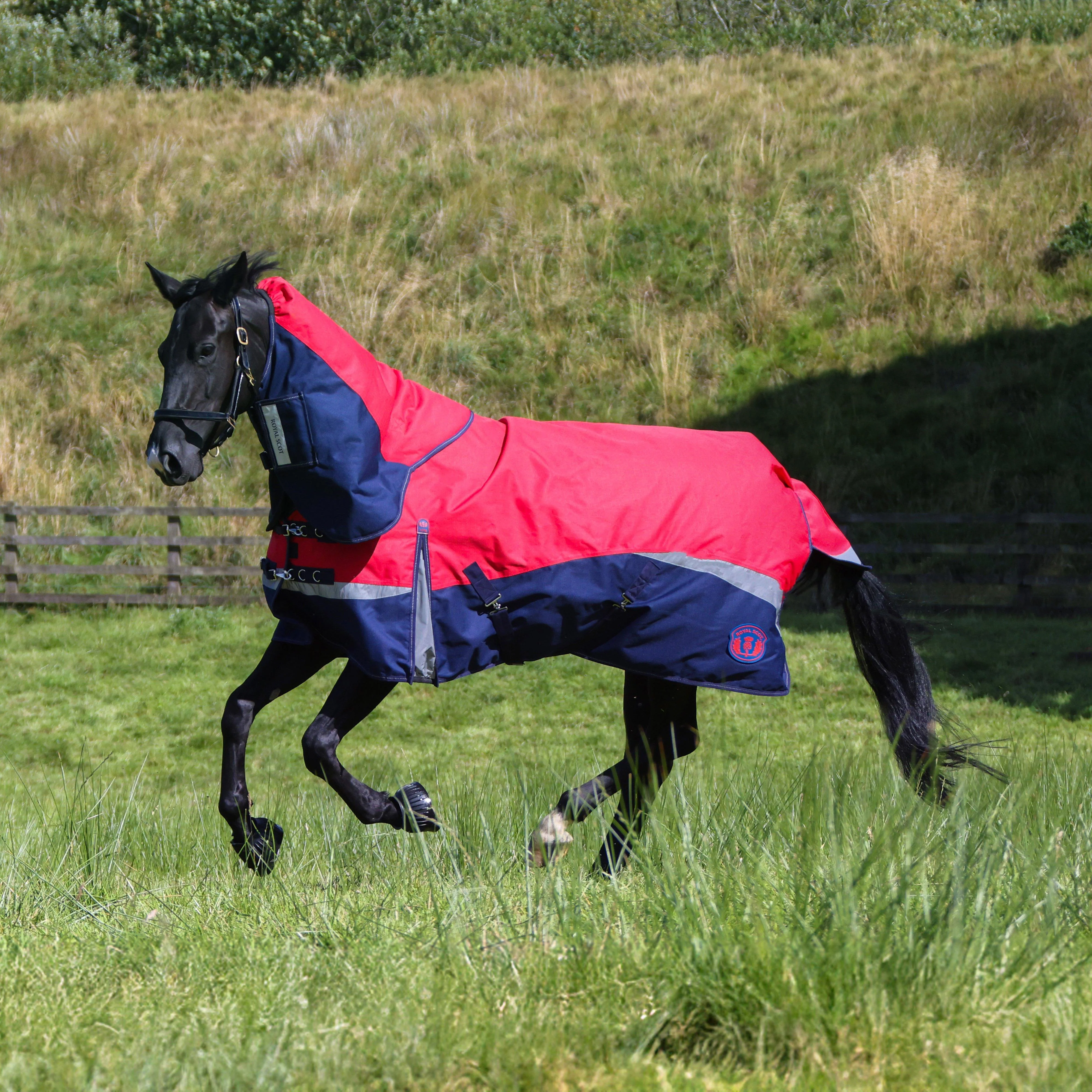 Pro 100g Turnout Rug - Image 3