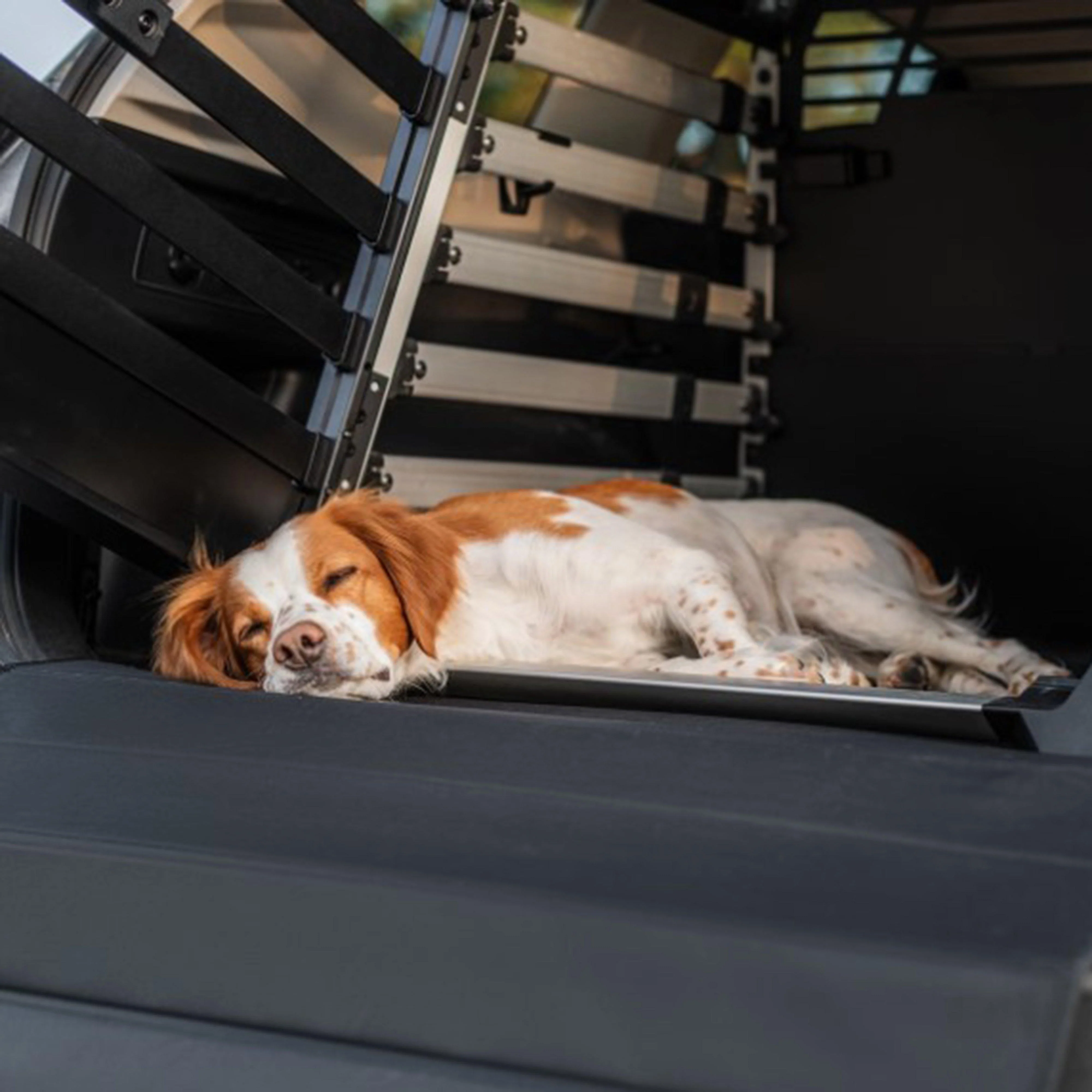 Dog Crate Mat Standard - Image 3