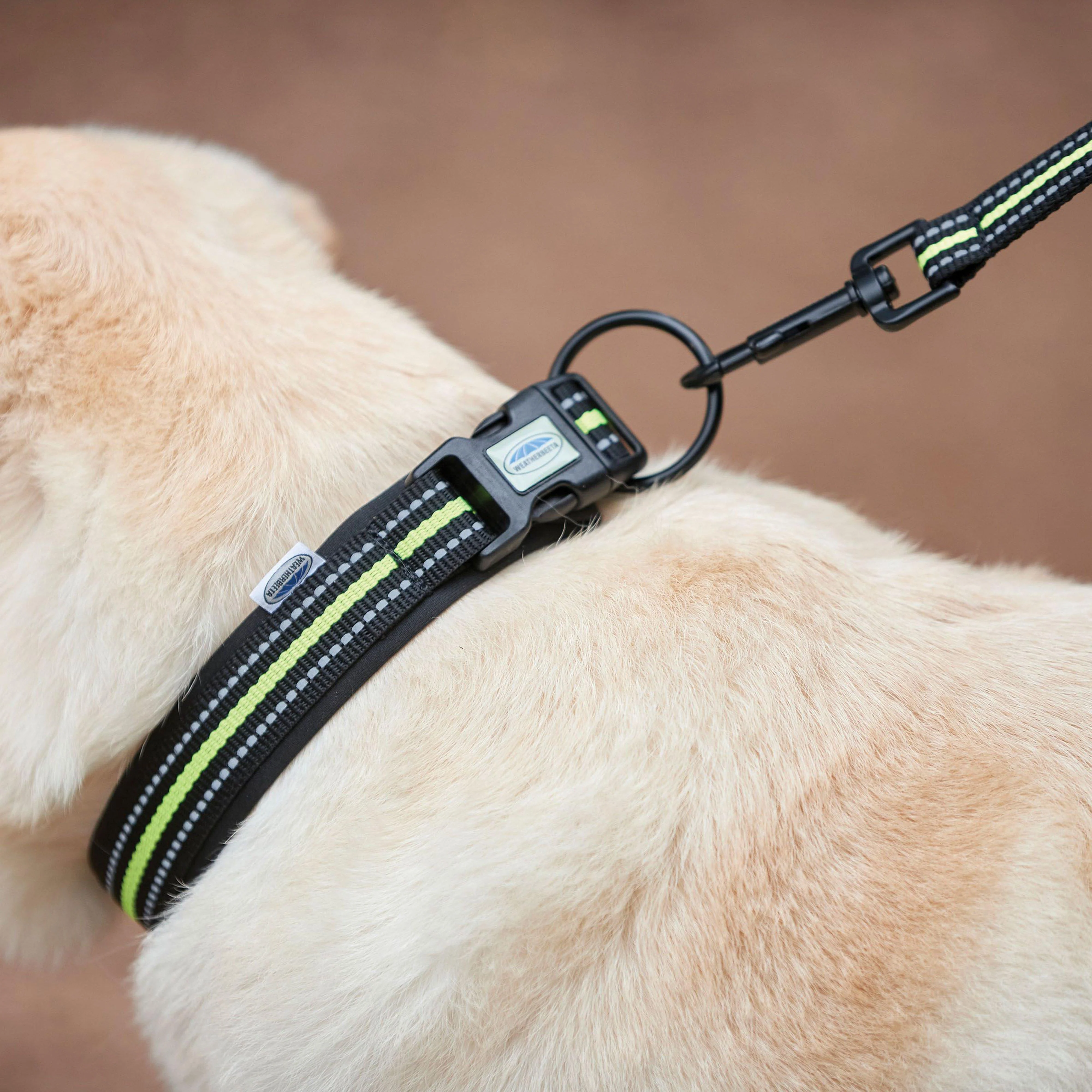 Reflective Dog Collar Extra Large - Image 3